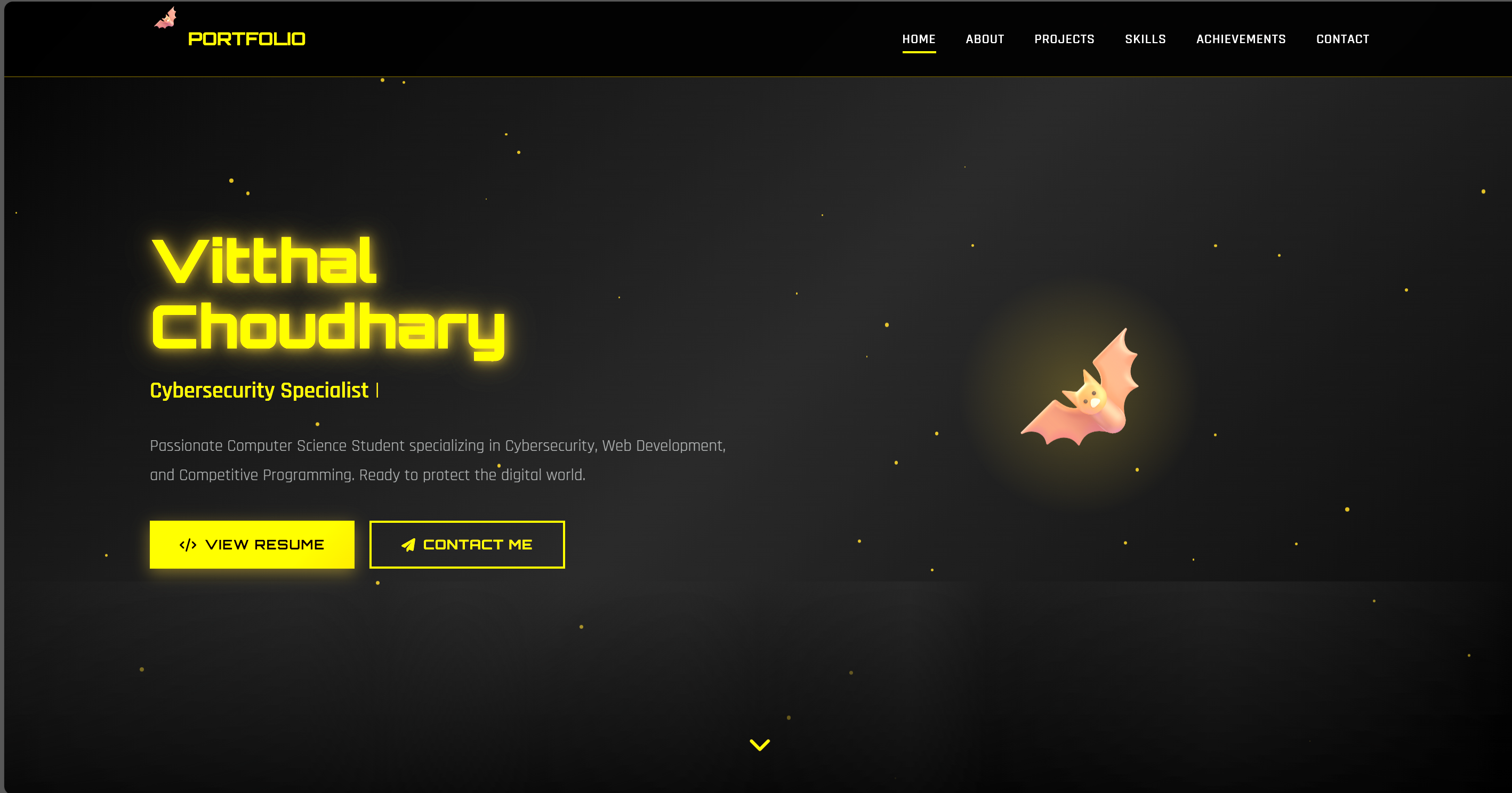 Portfolio Website Screenshot
