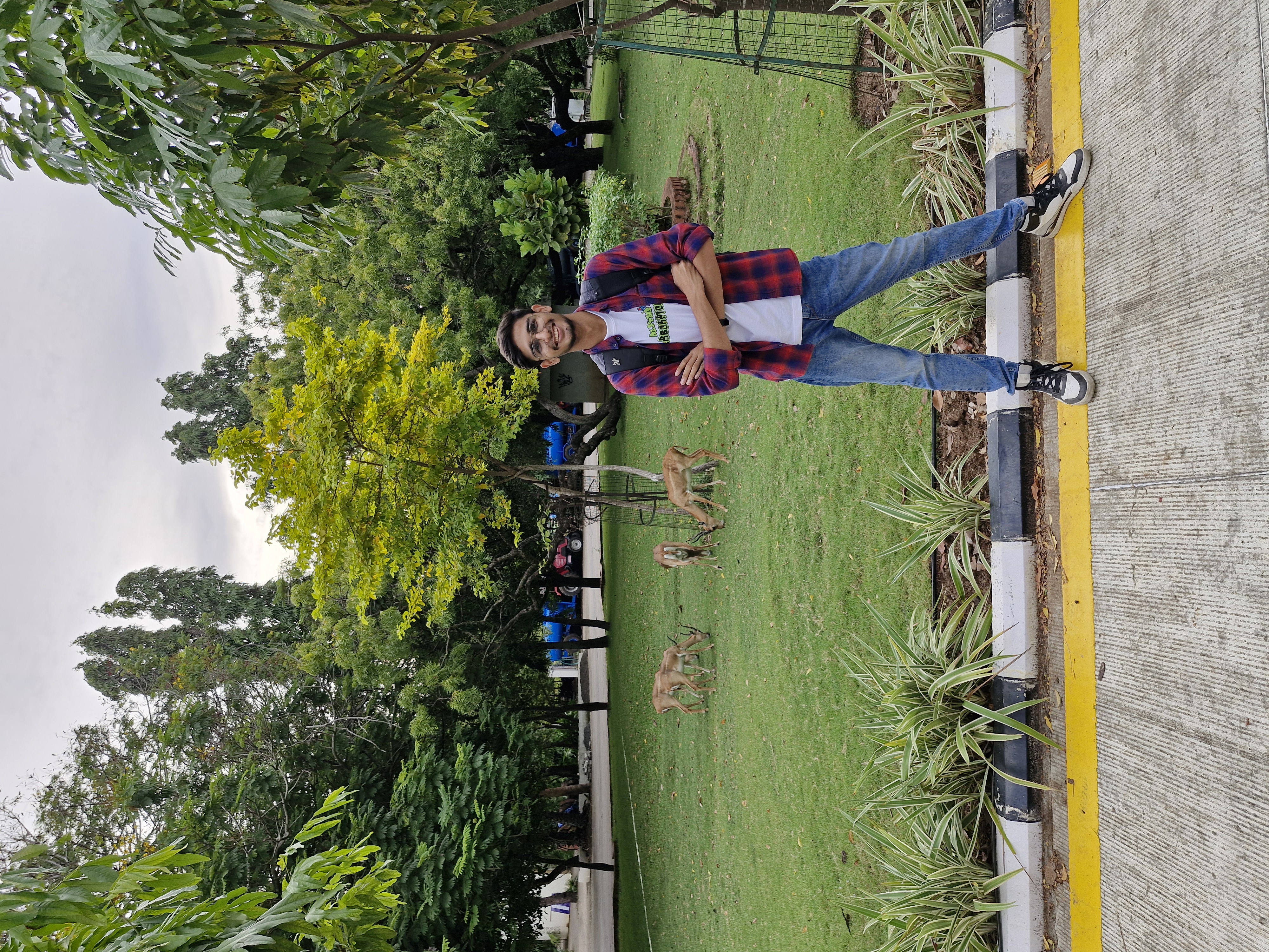 Your Photo